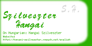 szilveszter hangai business card